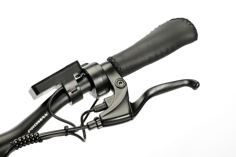 Bicicleta electrica Ztech ZT-84M Eel-M viteza maxima 25 km/h putere 250W acumulator 12Ah/36V nu necesita permis-Albastru