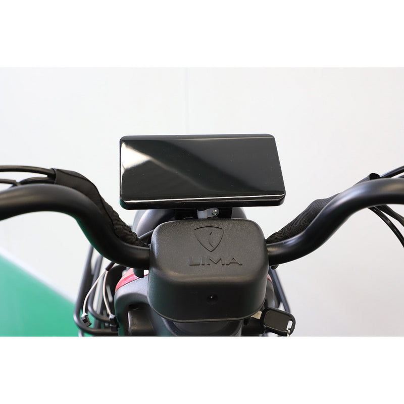 Tricicleta electrica RDB CARGO fara permis 2000W 25km/h maro