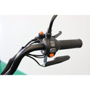 Tricicleta electrica RDB CARGO fara permis 2000W 25km/h maro