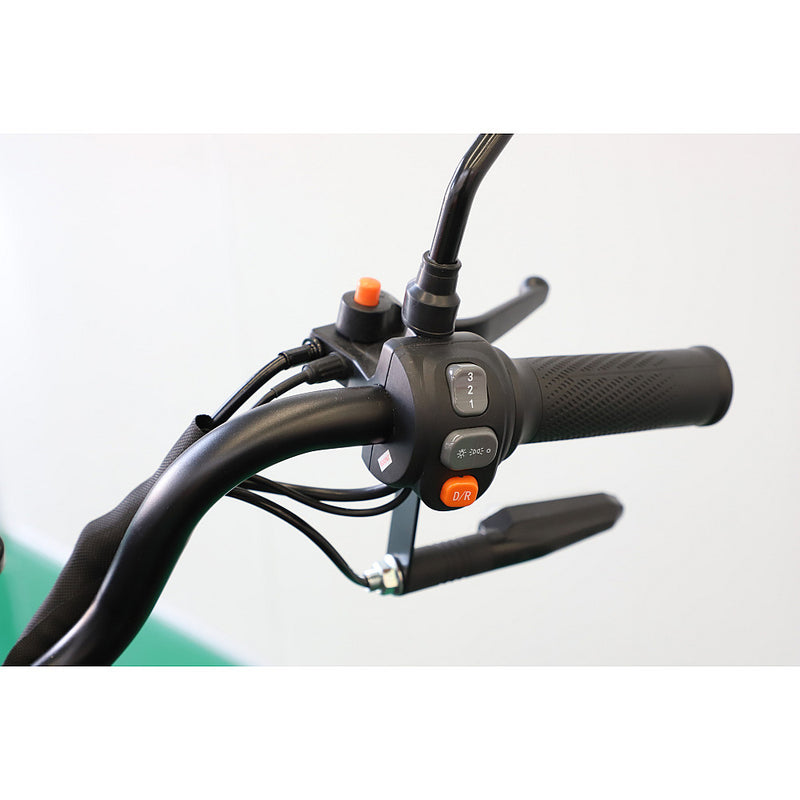 Tricicleta electrica RDB CARGO fara permis 2000W 25km/h negru