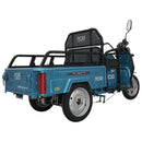 Tricicleta electrica RDB L-Klass4 fara permis 1350W 25 km/h verde
