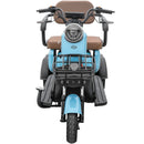 Tricicleta electrica RDB MINI fara permis 2000W 25km/h verde