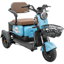 Tricicleta electrica RDB MINI fara permis 2000W 25km/h verde