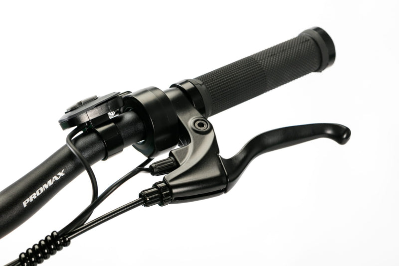 Bicicleta electrica Ztech ZT-85M SWORDFISH autonomie 50 km viteza maxima 25 km/h putere 250W acumulator 12Ah/36V nu necesita permis-Gri