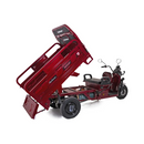 Tricicleta electrica Rotakt Guliver putere 2000W viteza 25 km/h autonomie 68 km baterie Plumb-Acid 72V/58Ah greutate admisa 617kg fara permis - gri