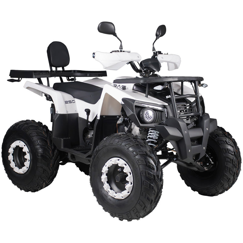 ATV benzina Voltarom RA5 motor 9.5 CP 180 cmc viteza 60 km/h necesita permis