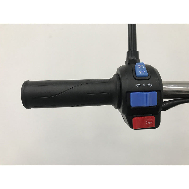 Tricicleta electrica RDB XL-Klass4 4000W 72V 45Ah 25km/h verde