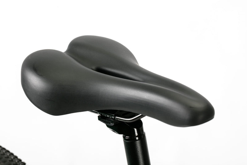Bicicleta electrica Ztech ZT-85M SWORDFISH autonomie 50 km viteza maxima 25 km/h putere 250W acumulator 12Ah/36V nu necesita permis-Gri