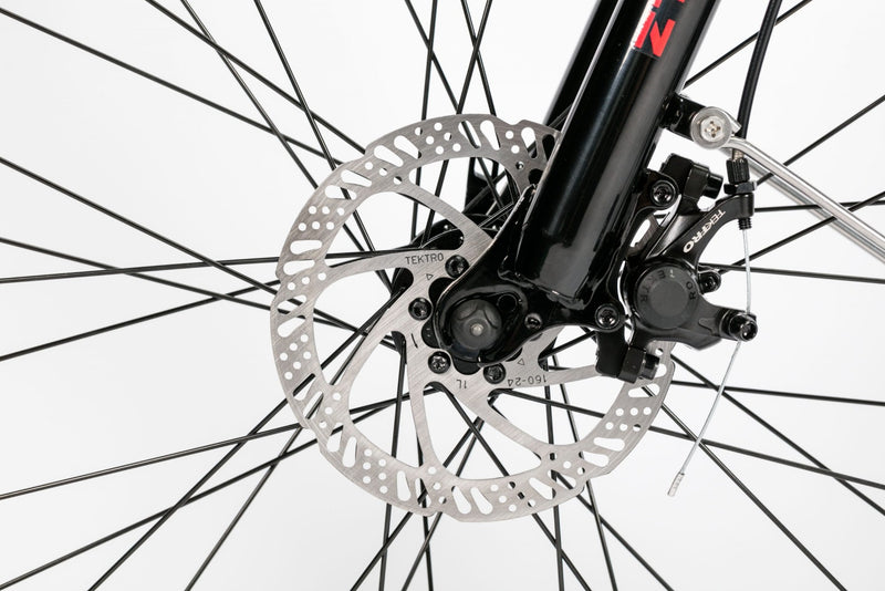 Bicicleta electrica Ztech ZT-13-B RETRO 2.0 autonomie 33 Km viteza maxima 25 km/h putere 250W acumulator 10Ah/36V nu necesita permis-Rosu
