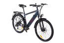 Bicicleta electrica Ztech ZT-84 Eel-M viteza maxima 25 km/h putere 250W acumulator 12Ah/36V nu necesita permis-Gri