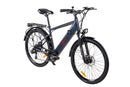 Bicicleta electrica Ztech ZT-84 Eel-M viteza maxima 25 km/h putere 250W acumulator 12Ah/36V nu necesita permis-Gri