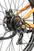 Bicicleta electrica Ztech ZT-85 SWORDFISH autonomie 50 km viteza maxima 25 km/h putere 250W acumulator 12Ah/36V nu necesita permis-Albastru