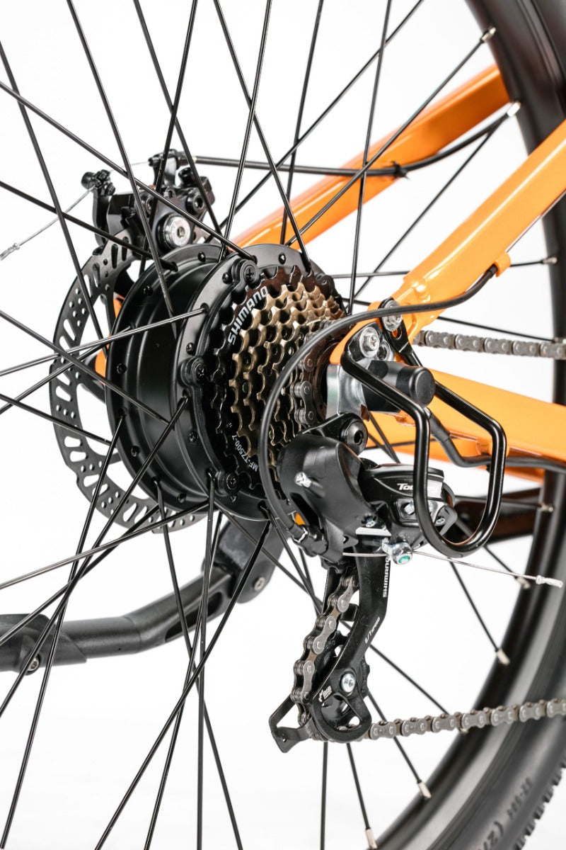 Bicicleta electrica Ztech ZT-85 SWORDFISH autonomie 50 km viteza maxima 25 km/h putere 250W acumulator 12Ah/36V nu necesita permis-Gri