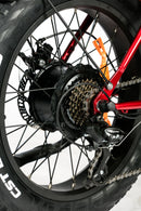 Bicicleta electrica Ztech ZT-86-A LEGACY A autonomie 45 km viteza maxima 25 km/h putere 250W acumulator 13Ah/48V nu necesita permis-Alb