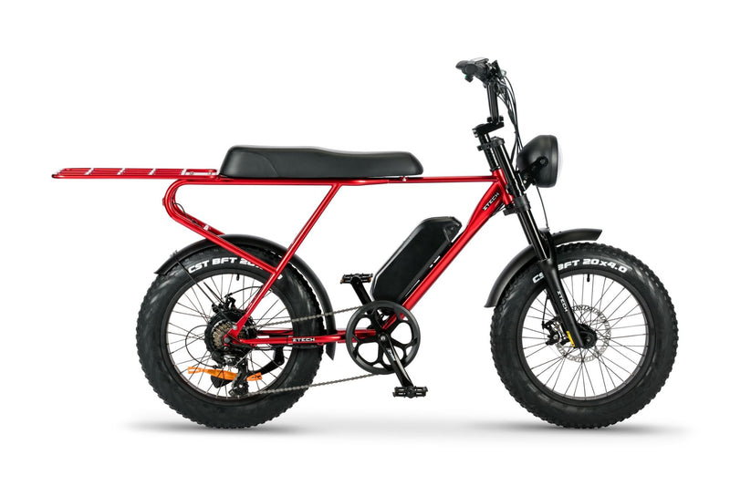 Bicicleta electrica Ztech ZT-86-A LEGACY A autonomie 45 km viteza maxima 25 km/h putere 250W acumulator 13Ah/48V nu necesita permis-Alb