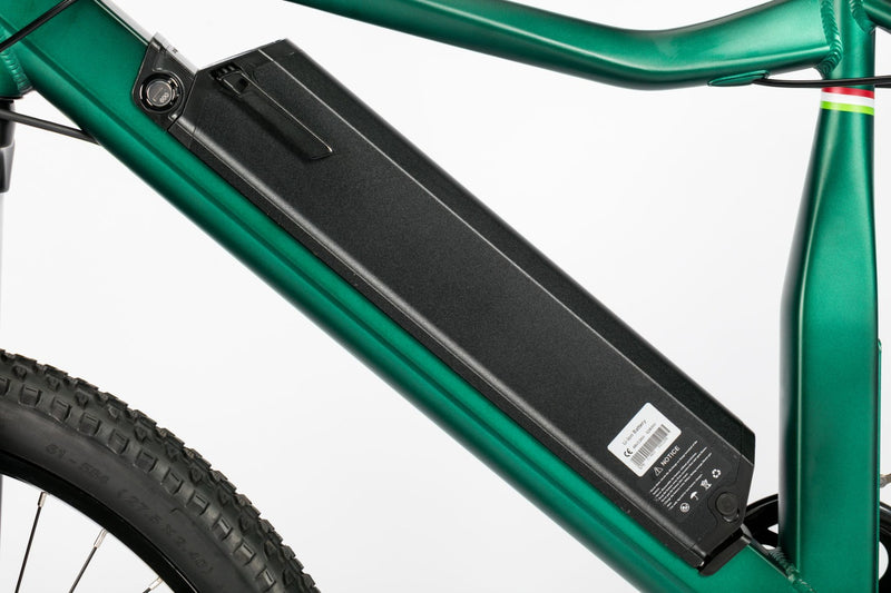 Bicicleta electrica Ztech ZT-87 GIANT SWORDFISH autonomie 45 km viteza maxima 25 km/h putere 250W acumulator 13Ah/48V nu necesita permis-Verde