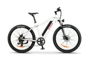 Bicicleta electrica Ztech ZT-87 GIANT SWORDFISH autonomie 45 km viteza maxima 25 km/h putere 250W acumulator 13Ah/48V nu necesita permis-Gri